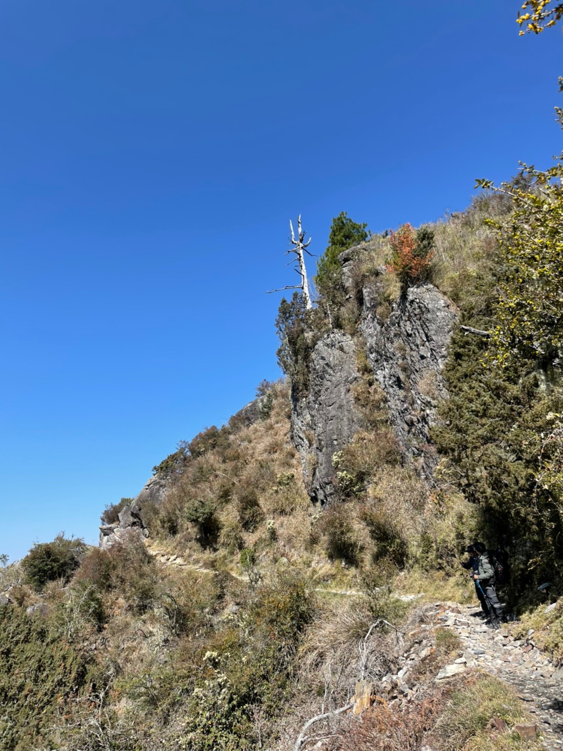 20210325-27玉山春夢綿綿（照斌攝_210328_28