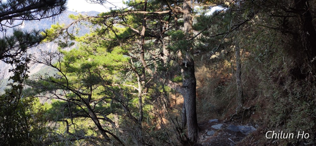 玉山步道