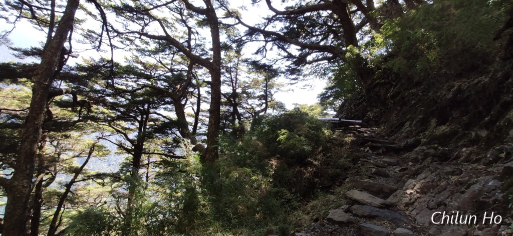 玉山步道