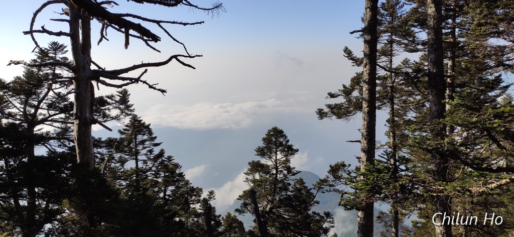阿里山公路