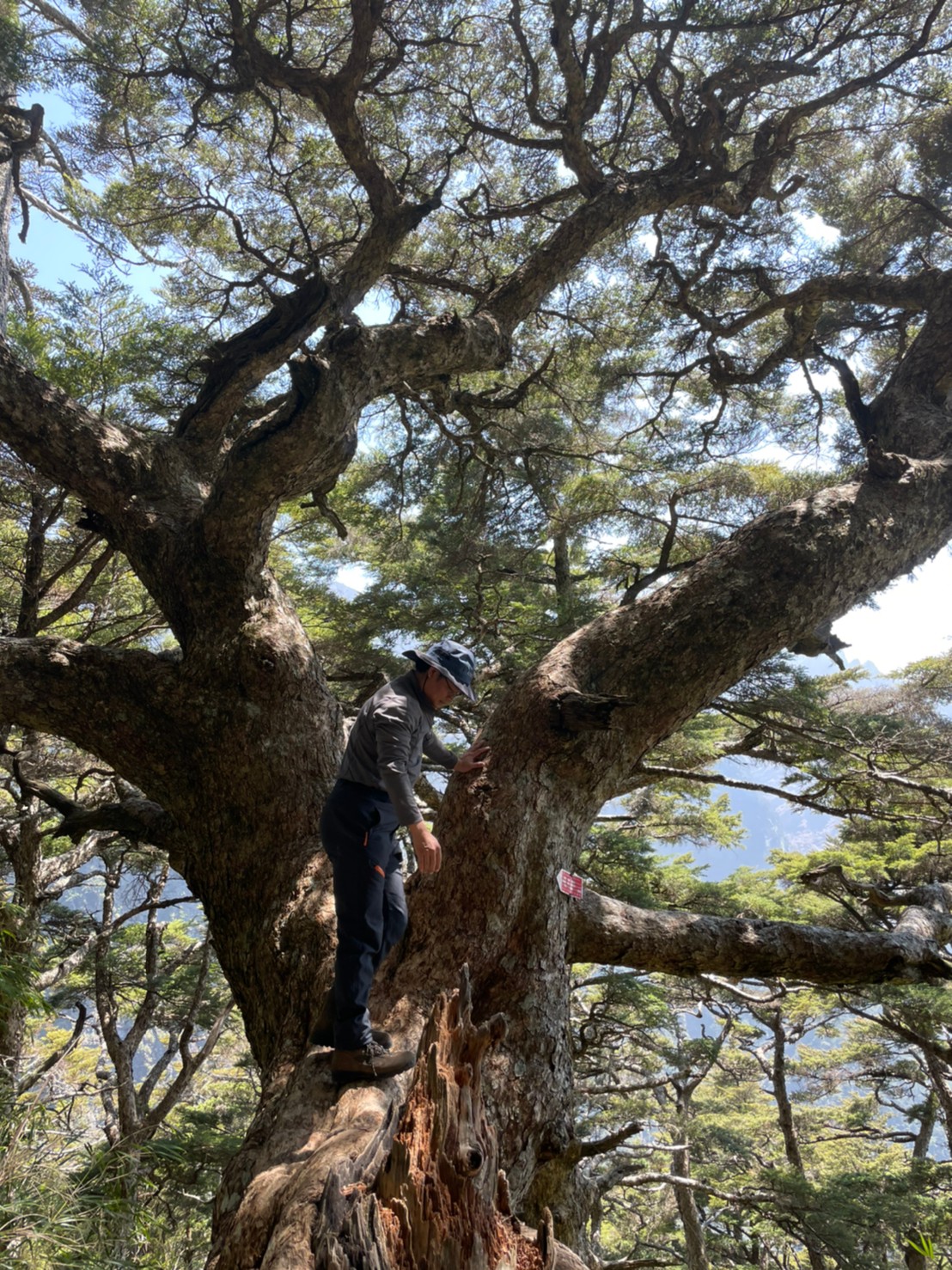 小精靈攝_210328_27