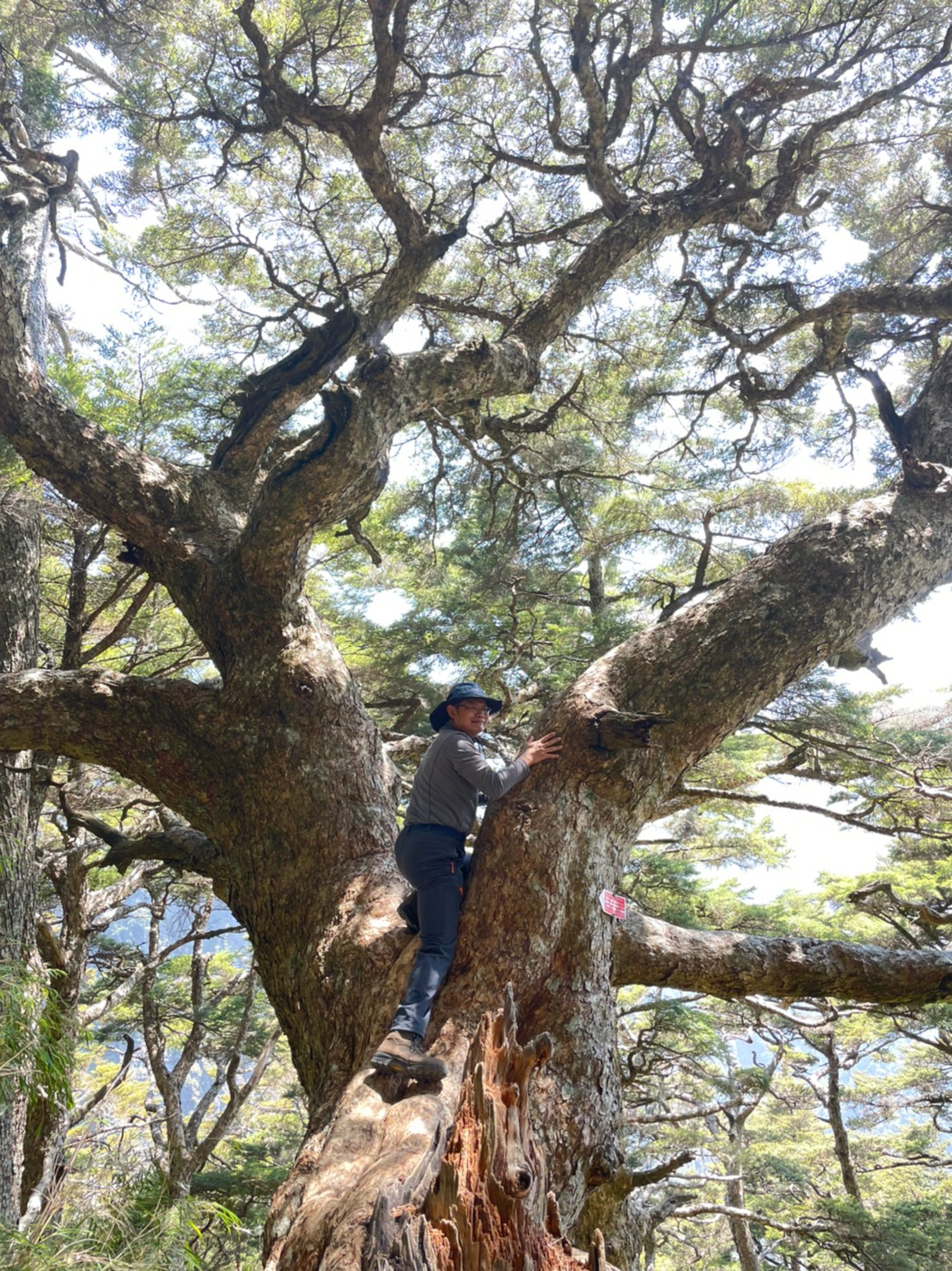 小精靈攝_210328_32