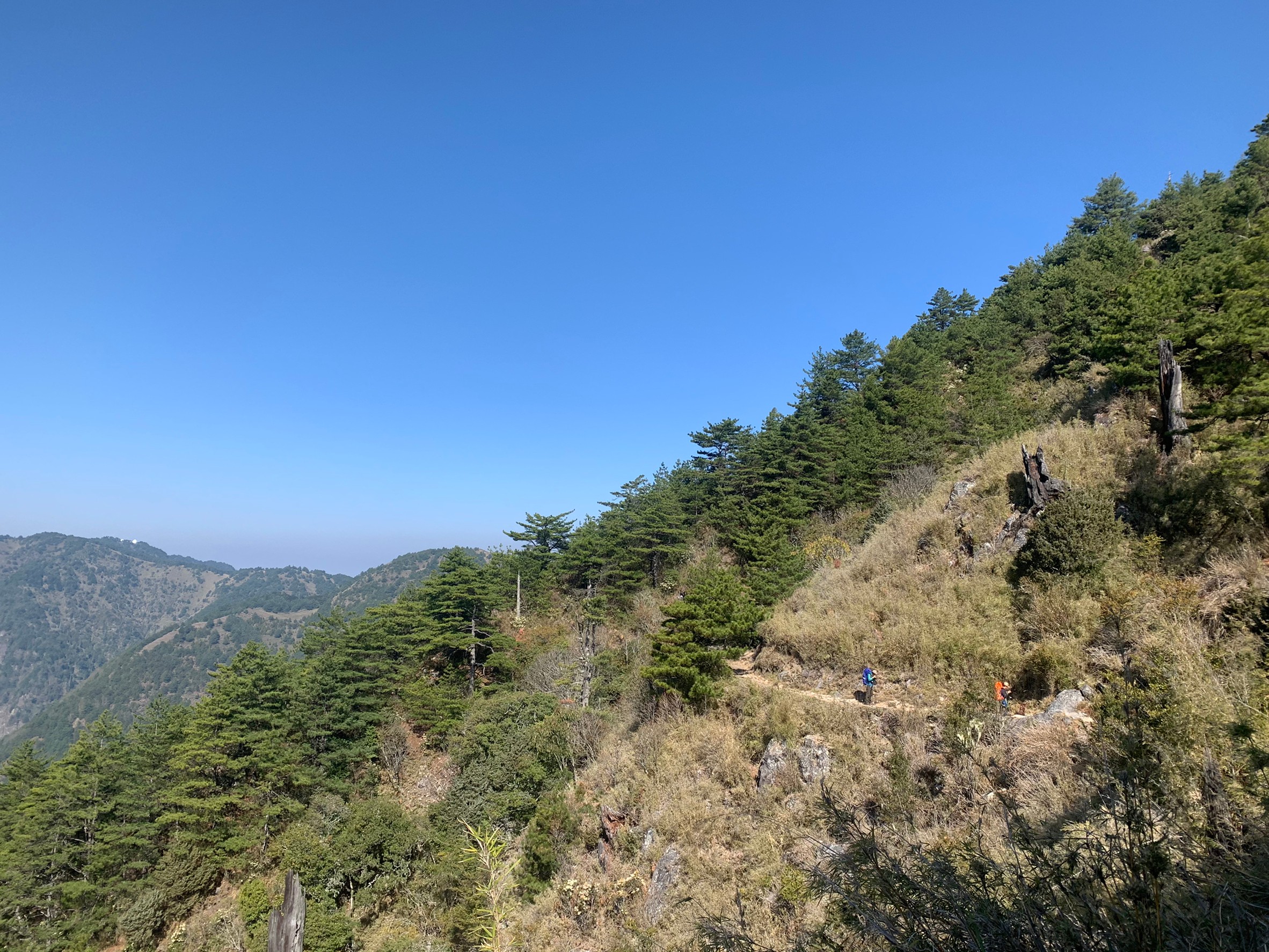2021玉山春夢遊前往排雲山莊照片 2021/03/25