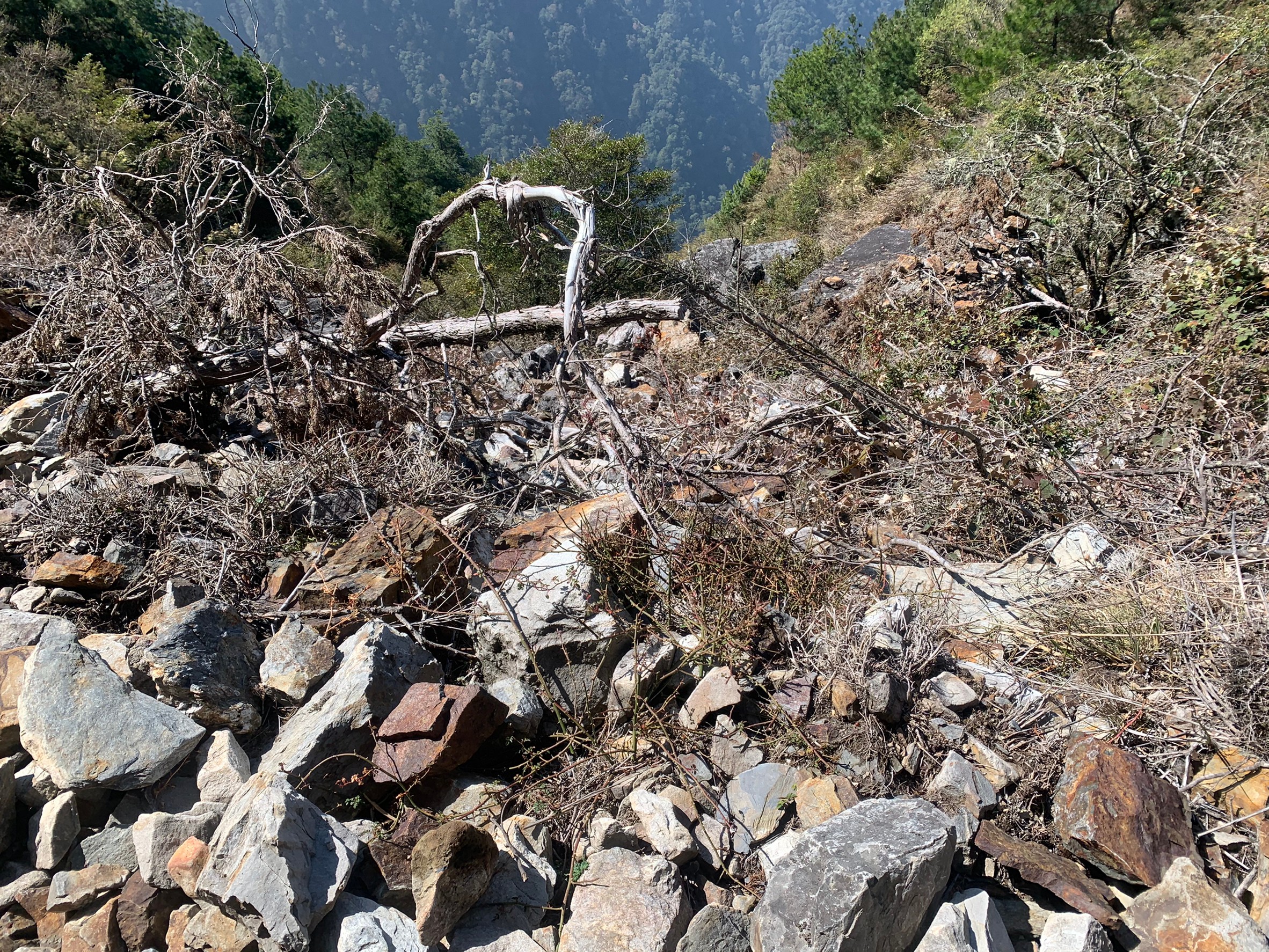 小黑玉山相簿_210328_18