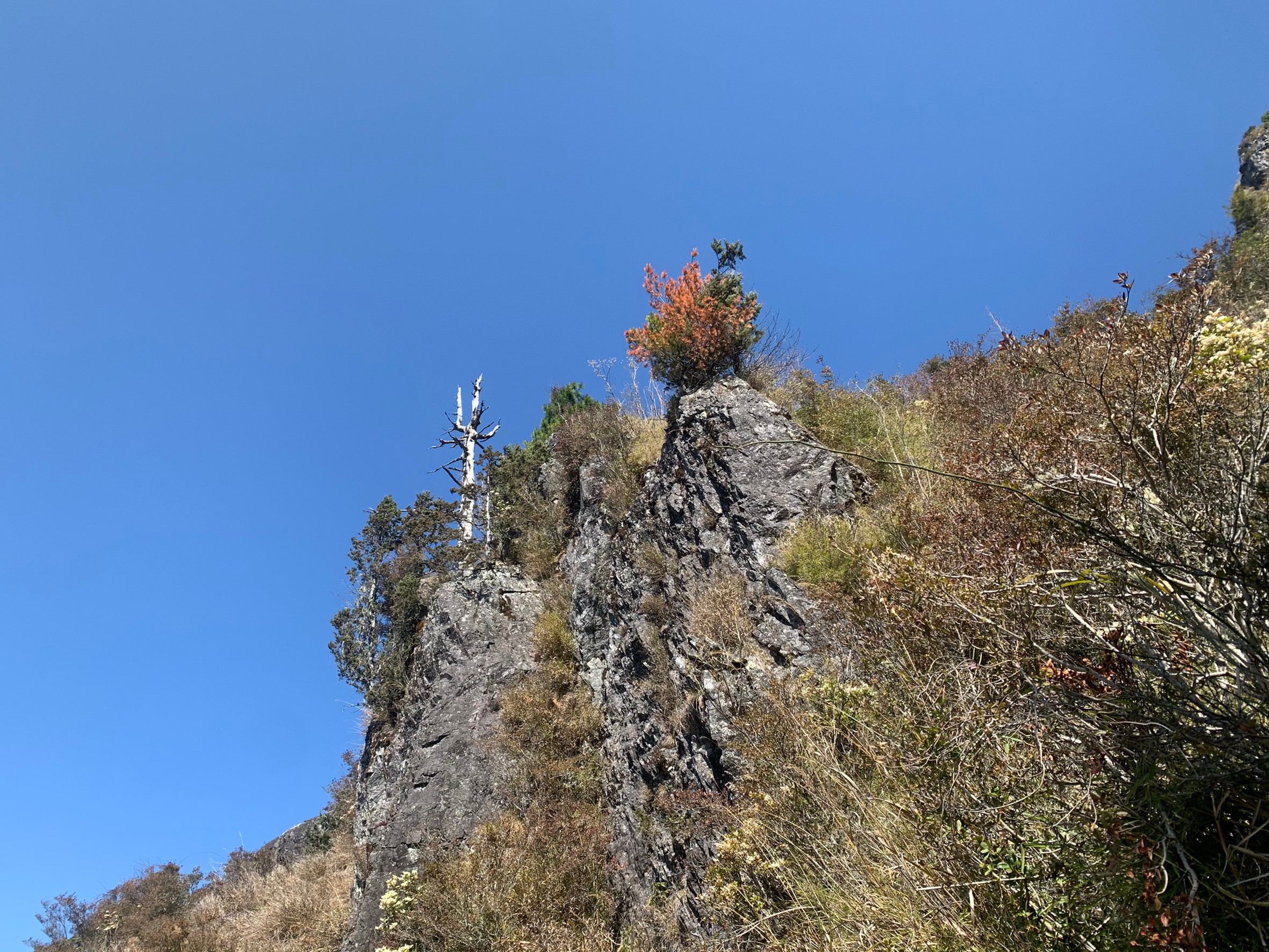 小黑玉山相簿_210328_19