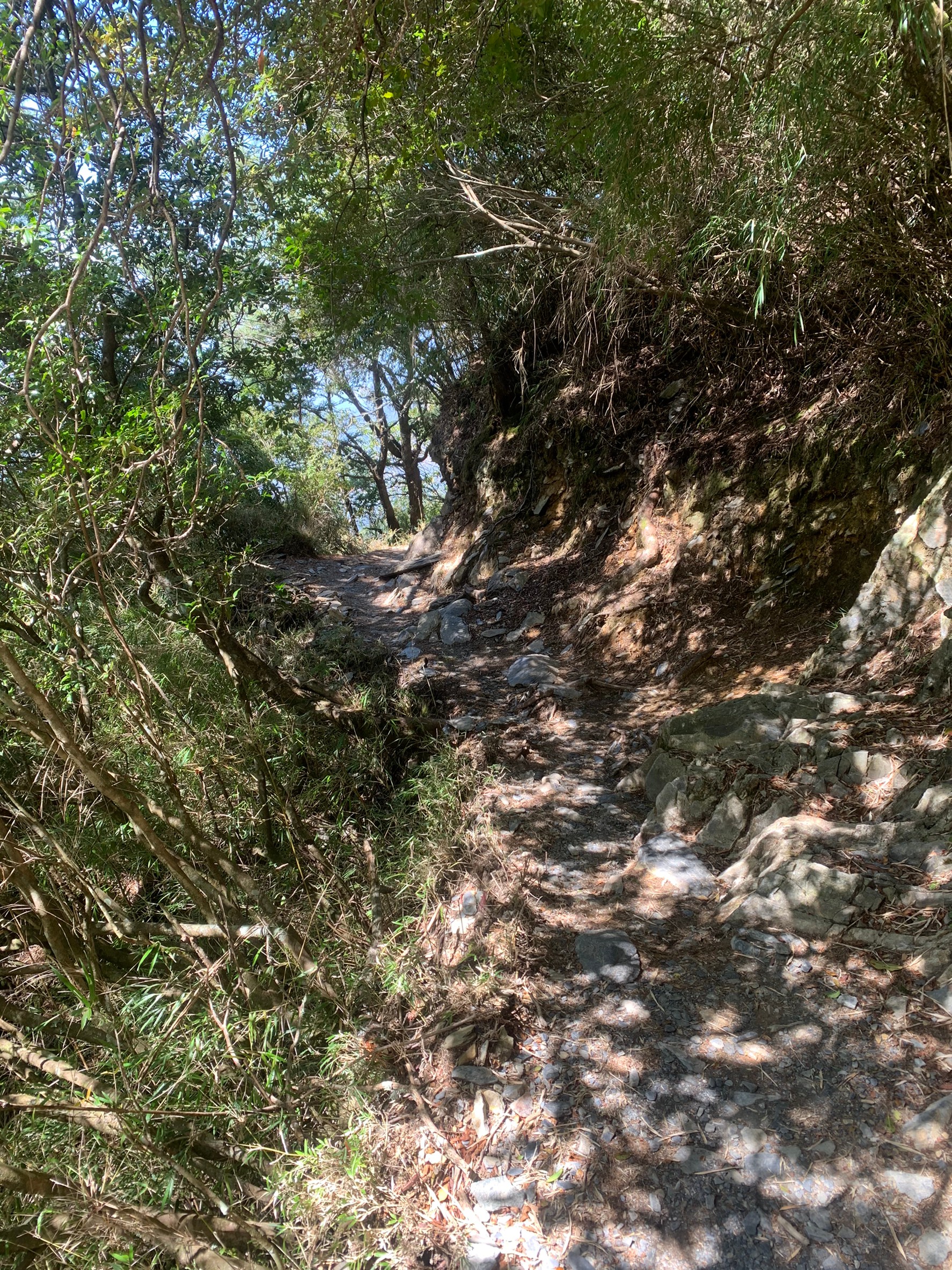 小黑玉山相簿_210328_24