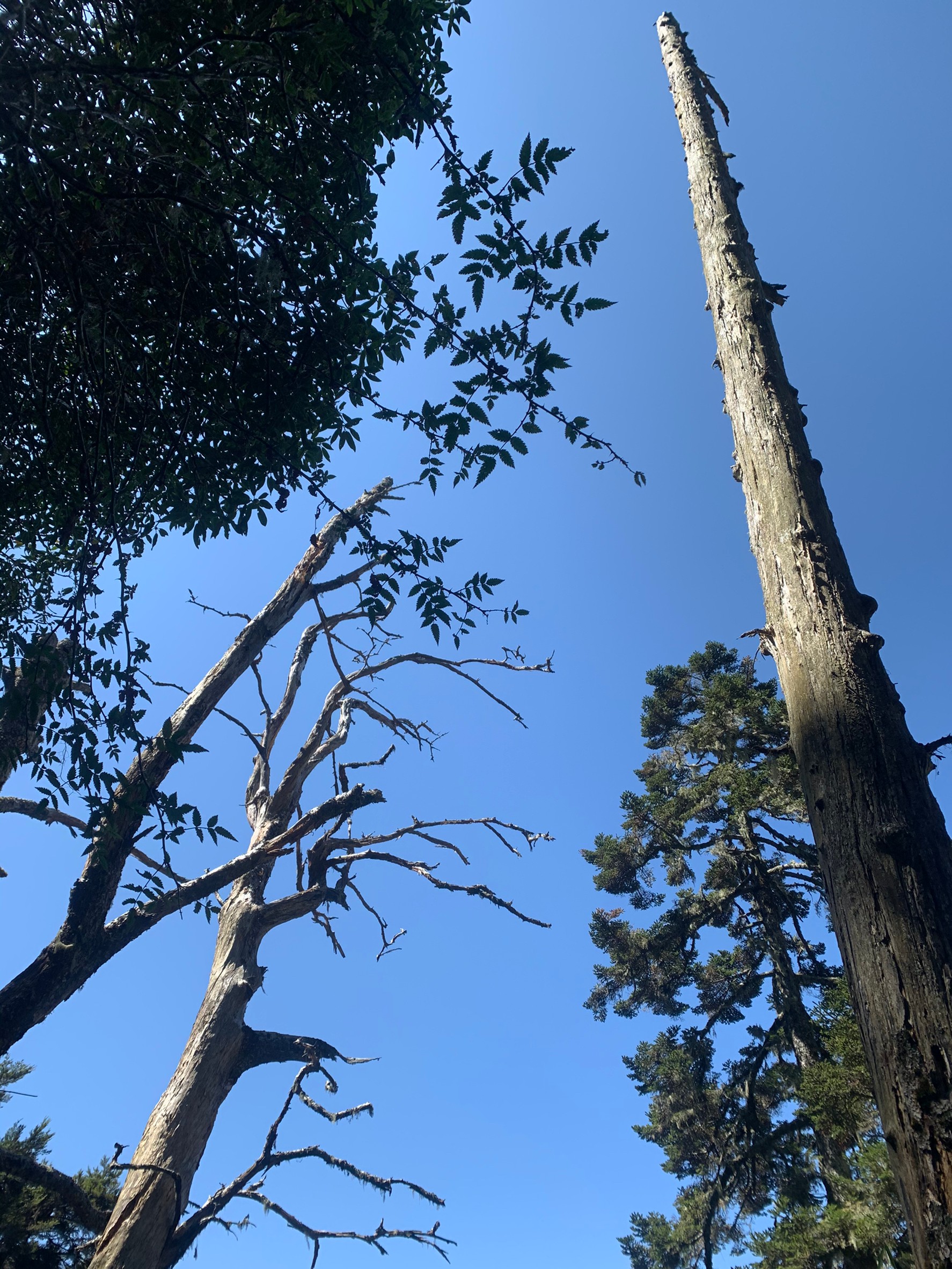 小黑玉山相簿_210328_29