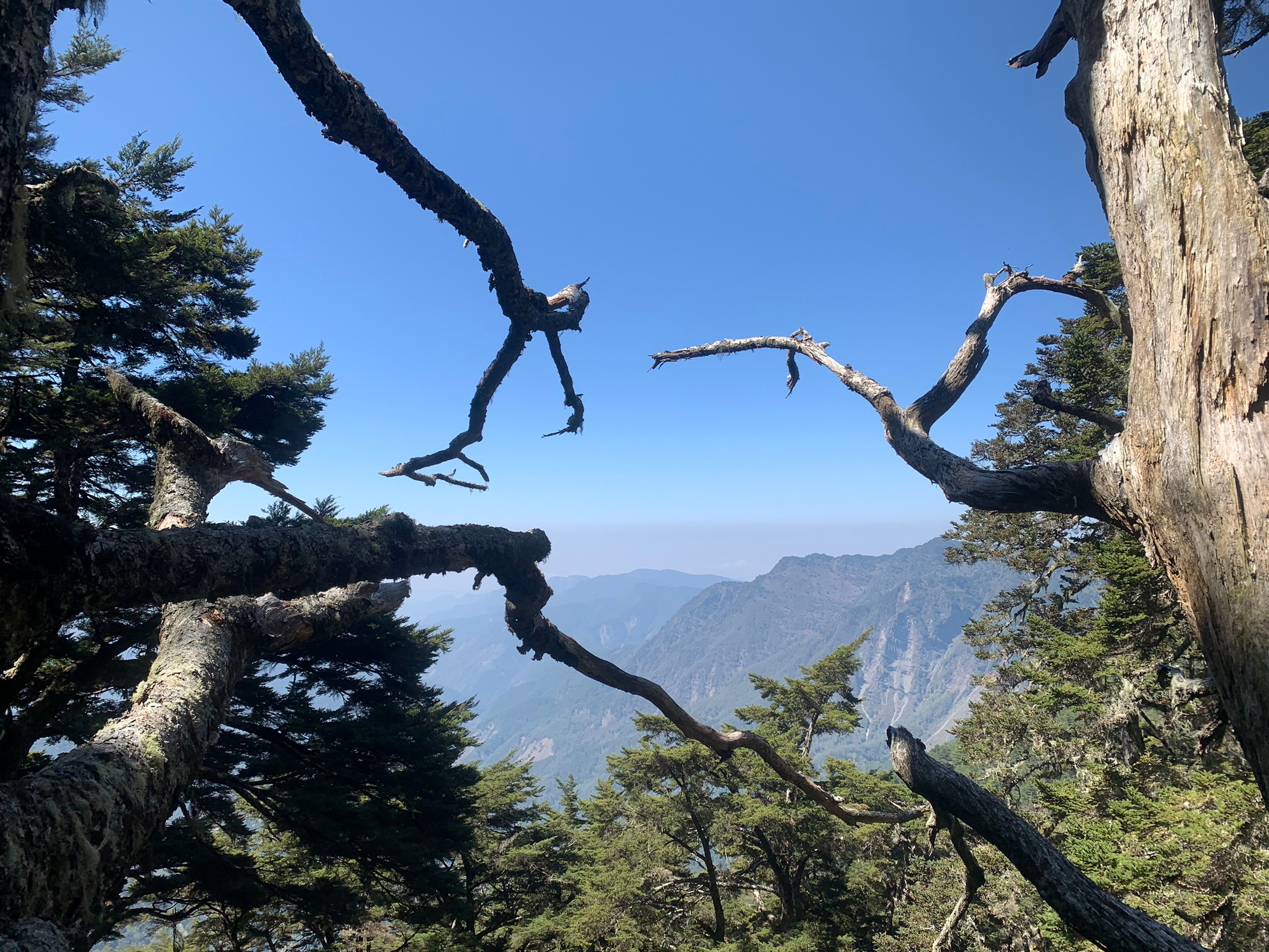 小黑玉山相簿_210328_31