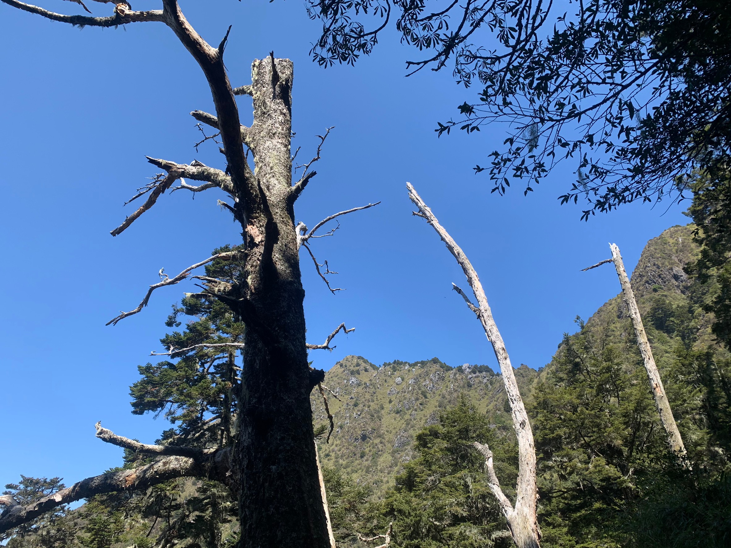 小黑玉山相簿_210328_32