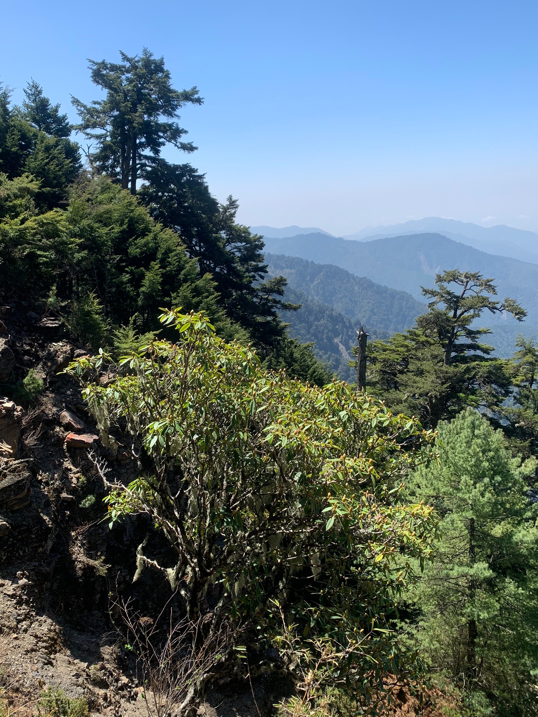 小黑玉山相簿_210328_38