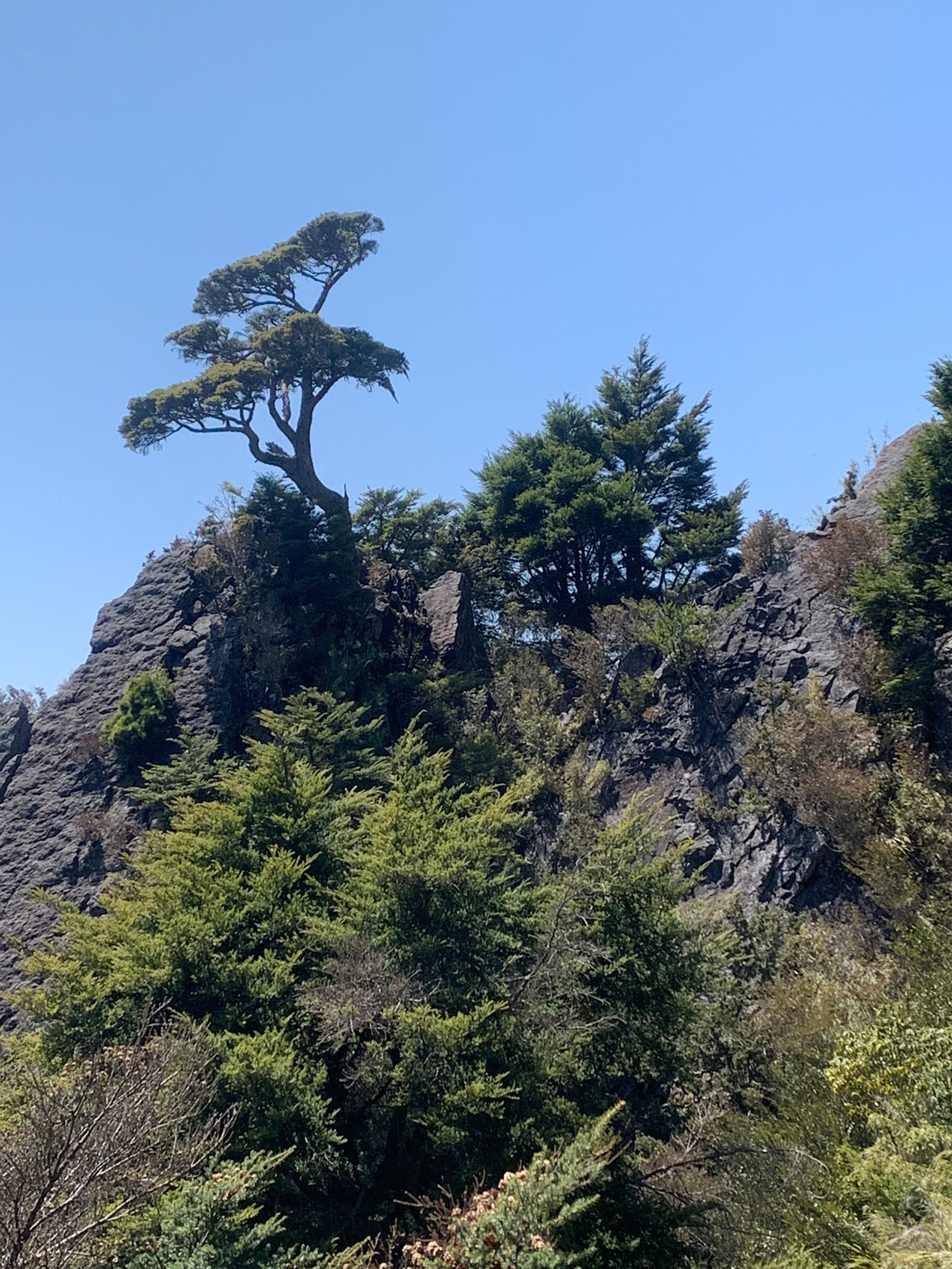 小黑玉山相簿_210328_43