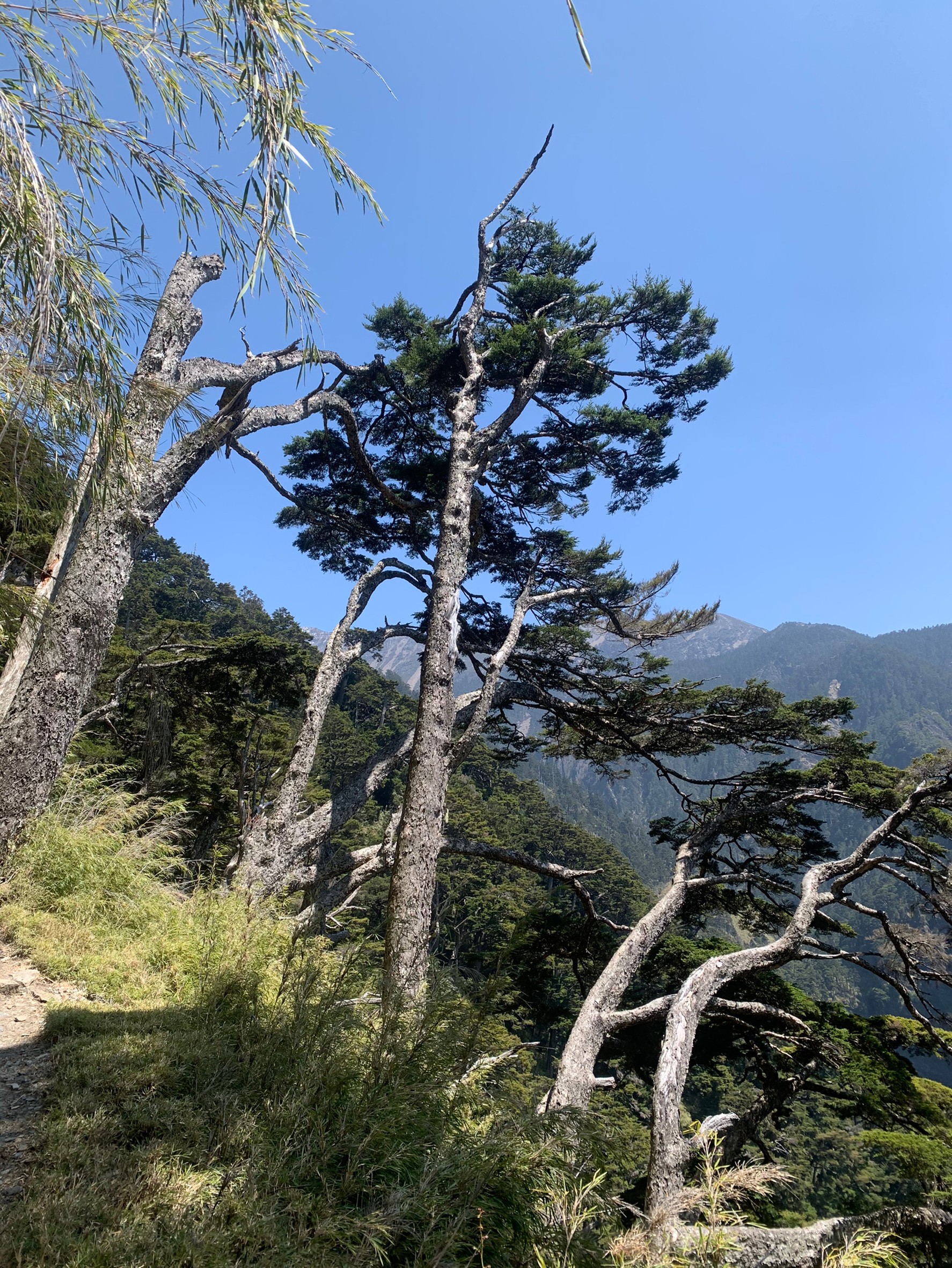 小黑玉山相簿_210328_44