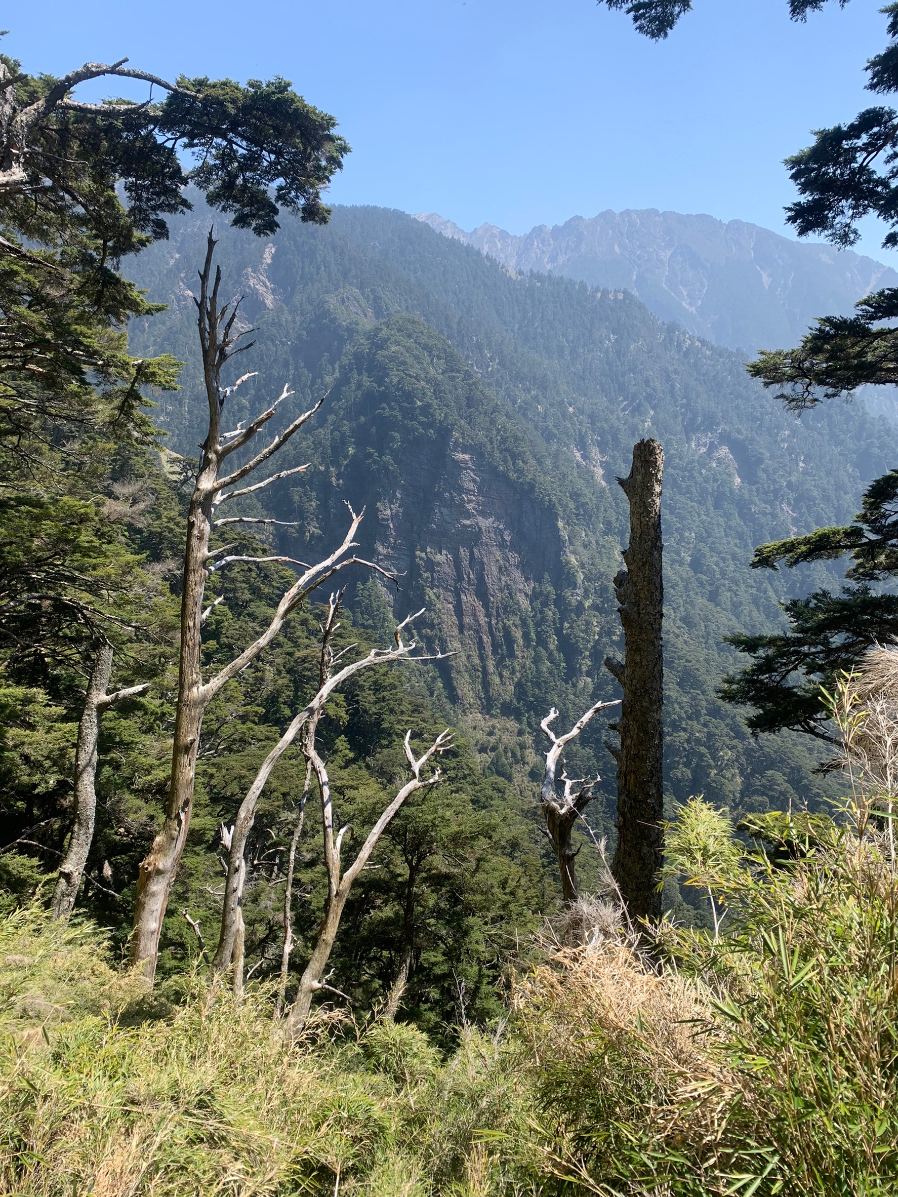 小黑玉山相簿_210328_45