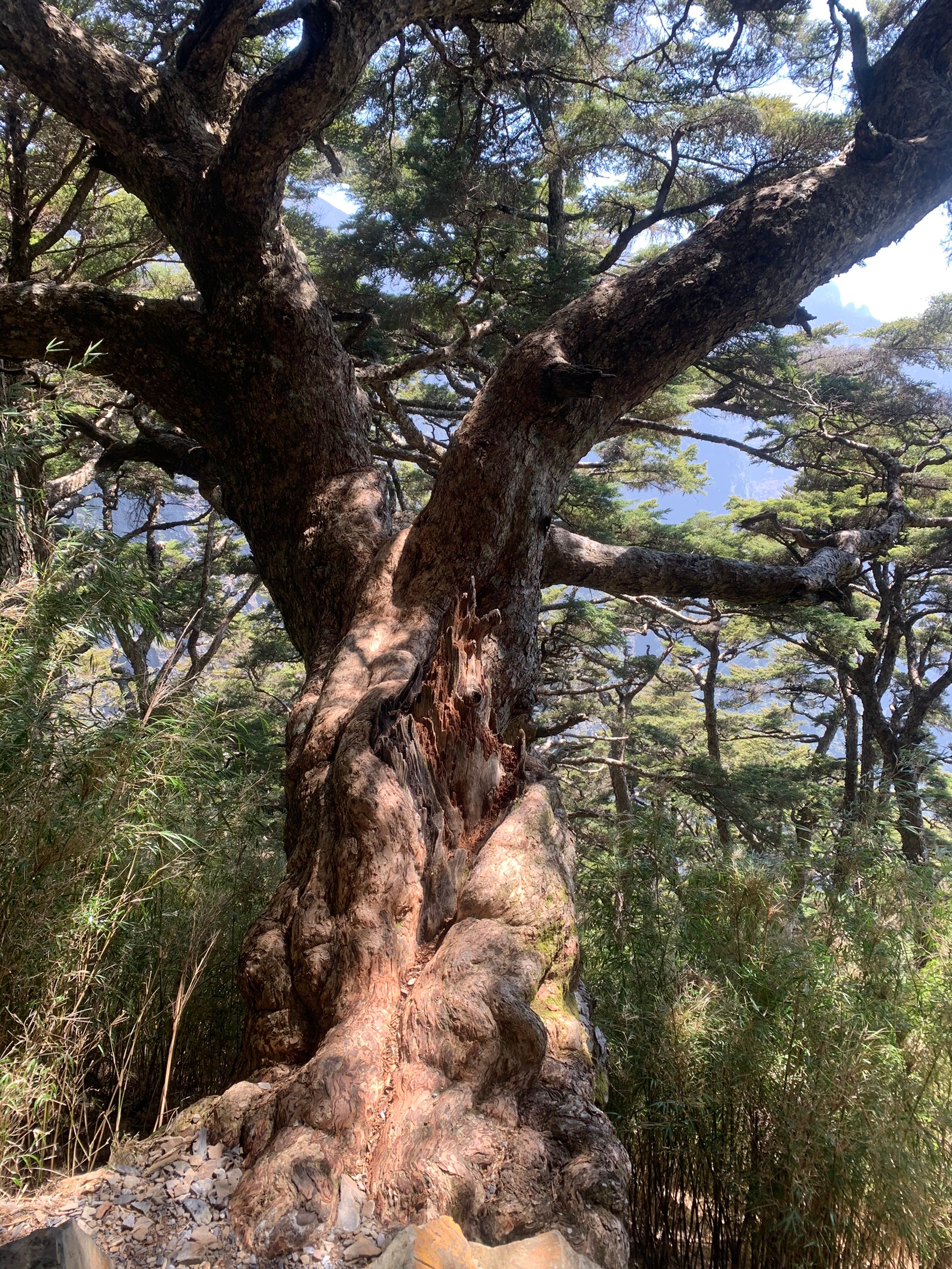 小黑玉山相簿_210328_46
