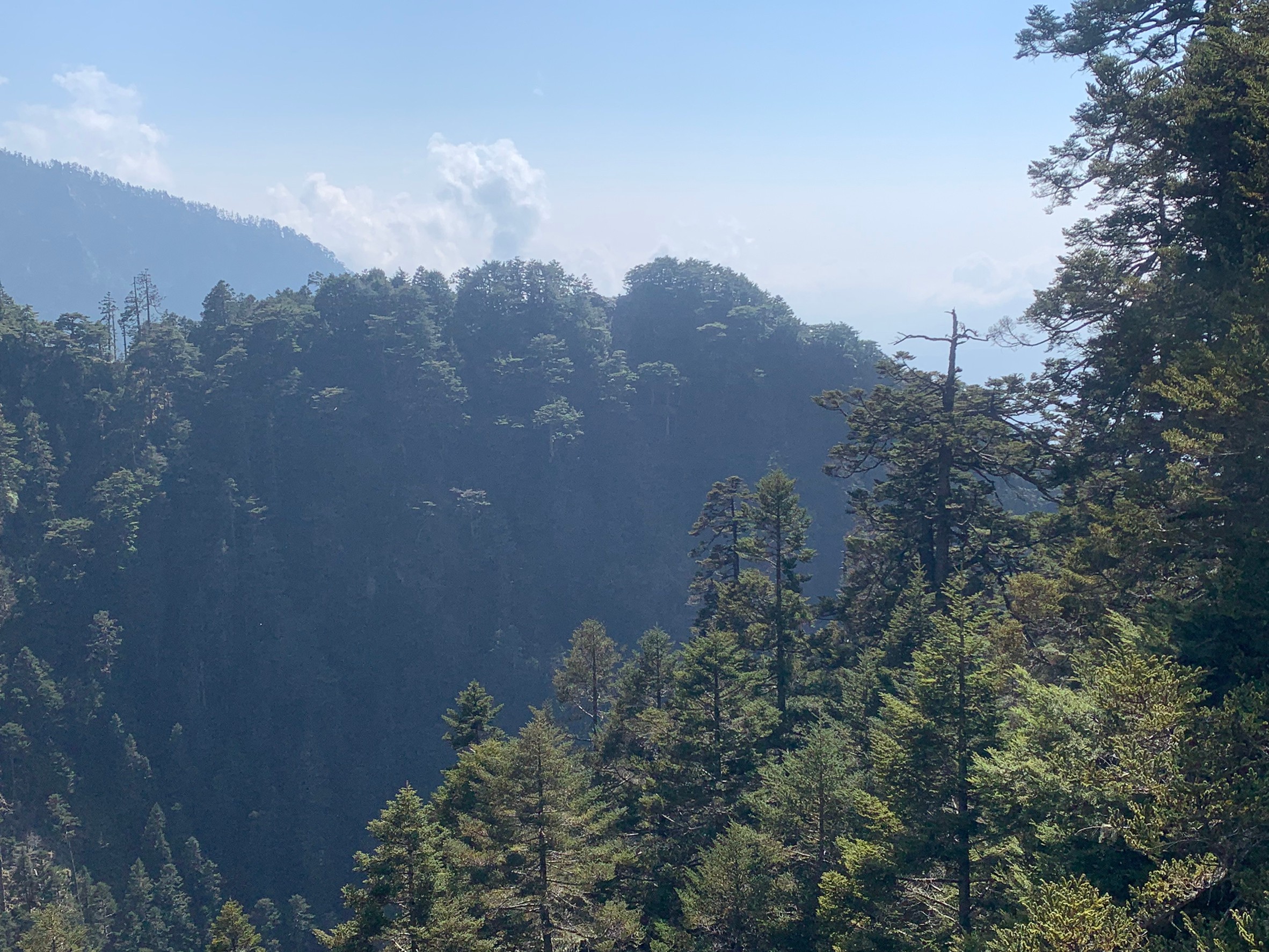 小黑玉山相簿_210328_52