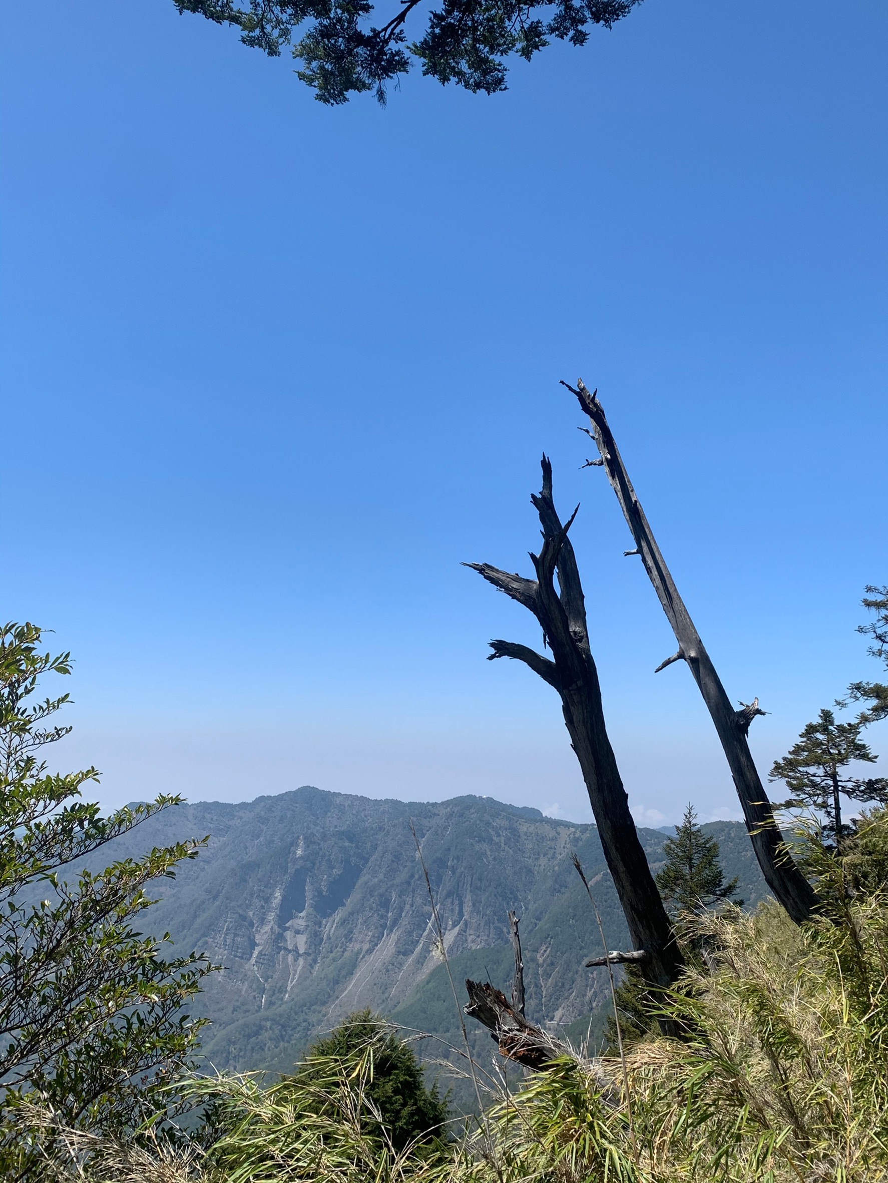 小黑玉山相簿_210328_61