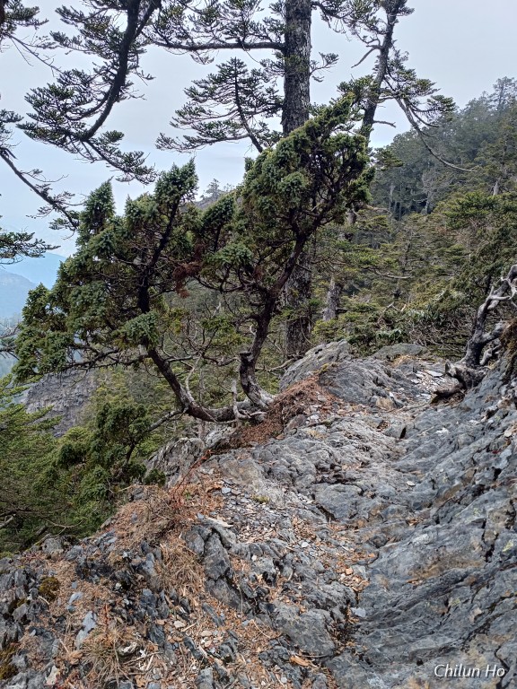2025第三天玉山西峰與出園