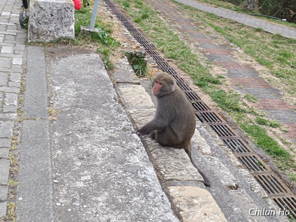 上東埔停車場